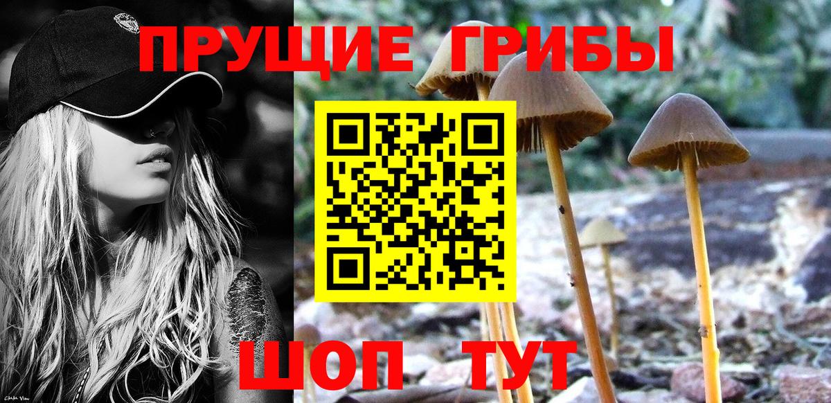Галлюциногенные грибы MAGIC MUSHROOMS Боровичи